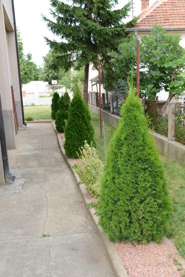 Prenociste-Vila Tasic Вране Экстерьер фото